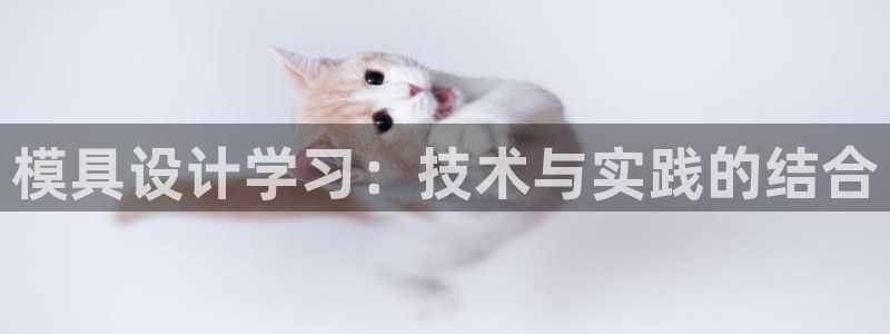 太阳成集团tyc234cc[主页]网址：模具设计学习：技术与实践的结合