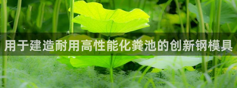 太阳成集团tyc7111cc电影：用于建造耐用高性能化粪池的创新钢模具