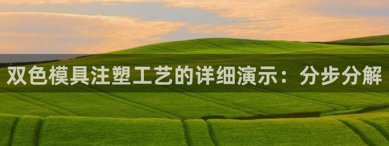 太阳集团城官网：双色模具注塑工艺的详细演示：分步分解