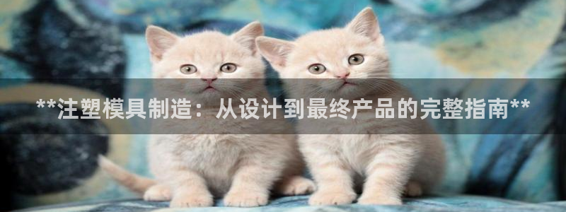太阳老板是谁：**注塑模具制造：从设计到最终产品的完整指南**