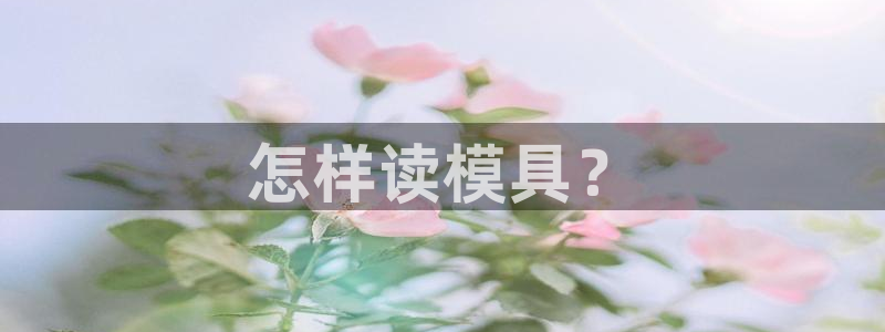 太阳集团唯一老品牌：怎样读模具？