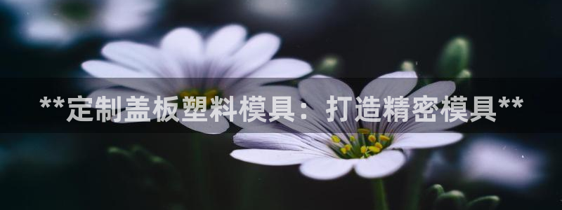澳门太阳集团老板洗米华：**定制盖板塑料模具：打造精密模具**