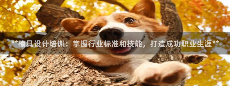 太阳gg登录地址：**模具设计培训：掌握行业标准和技能，打造成功职业生涯**
