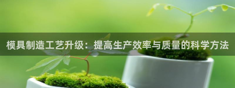 太阳gg是真的吗：模具制造工艺升级：提高生产效率与质量的科学方法