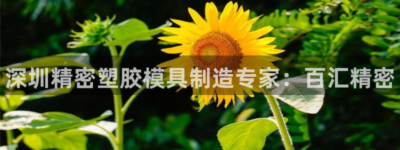 太阳集团188网站：深圳精密塑胶模具制造专家：百汇精密