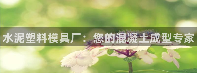 太阳2平台网址：水泥塑料模具厂：您的混凝土成型专家