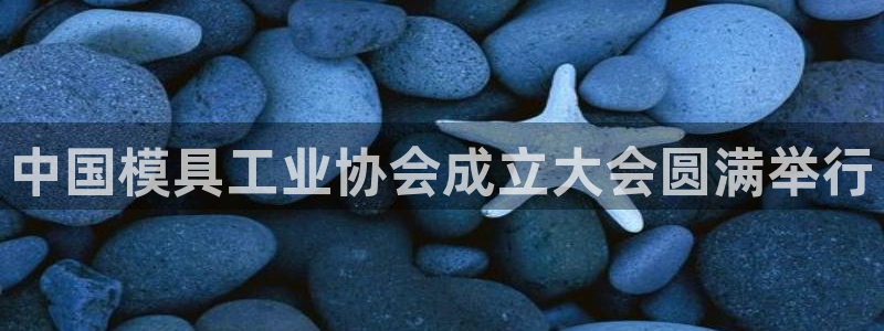 太阳集团娱乐官网8722：中国模具工业协会成立大会圆满举行