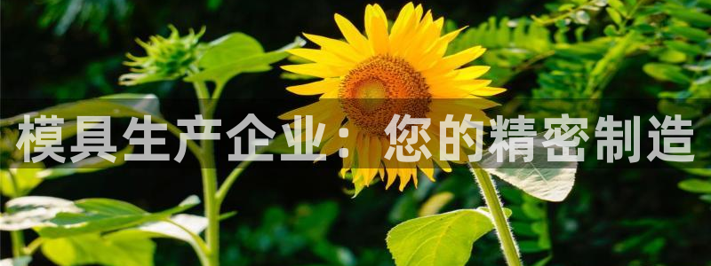 太阳成集团app下载：模具生产企业：您的精密制造