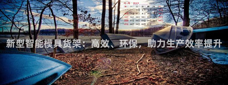 15vip太阳集团官网：新型智能模具货架：高效、环保，助力生产效率提升
