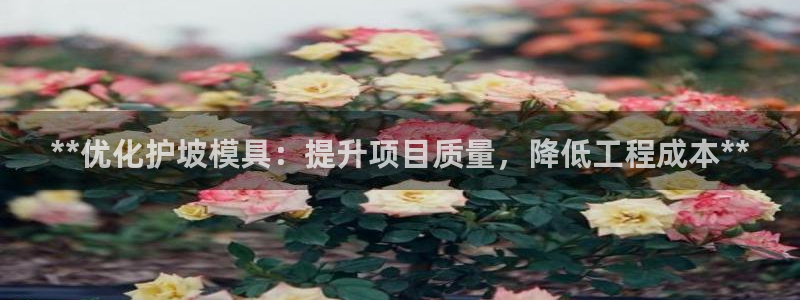 2018太阳集团游戏网站：**优化护坡模具：提升项目质量，降低工程成本**