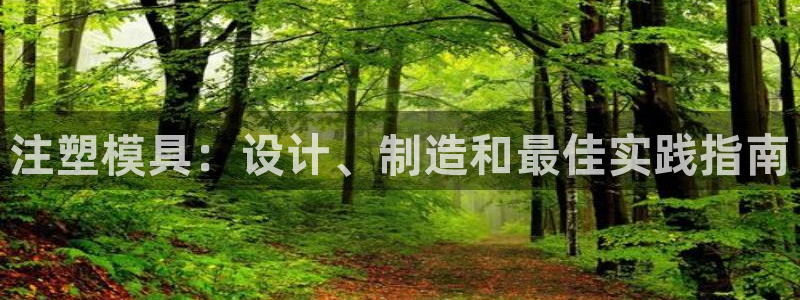 太阳集团网站入口：注塑模具：设计、制造和最佳实践指南