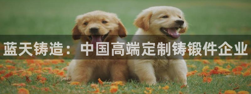 太阳成集团百度百科：蓝天铸造：中国高端定制铸锻件企业