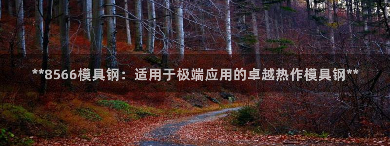 太阳集团游戏城旧版：**8566模具钢：适用于极端应用的卓越热作模具钢**