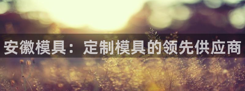 太阳集团入口官网首页：安徽模具：定制模具的领先供应商