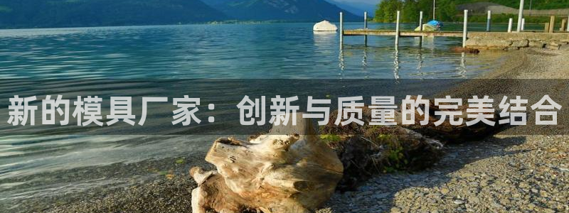 太阳集团主要是做什么的：新的模具厂家：创新与质量的完美结合