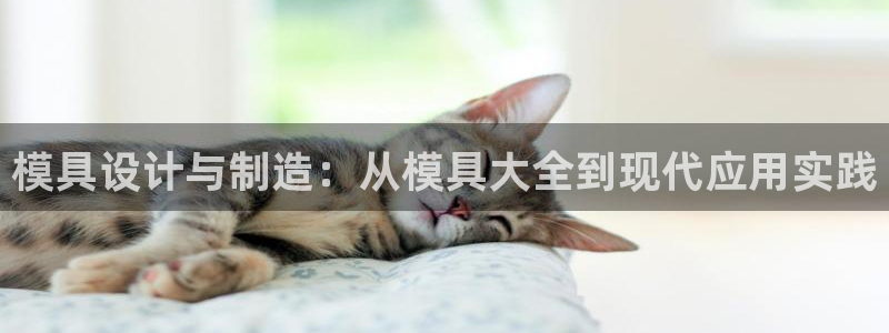 15vip太阳集团登录：模具设计与制造：从模具大全到现代应用实践