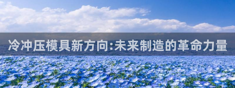 太阳gg官网登录：冷冲压模具新方向:未来制造的革命力量