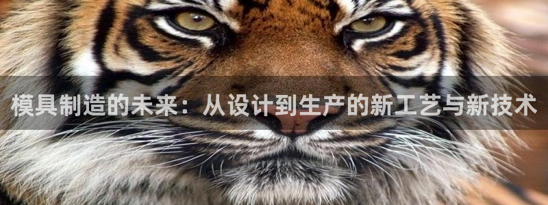 太阳诚集团电影：模具制造的未来：从设计到生产的新工艺与新技术