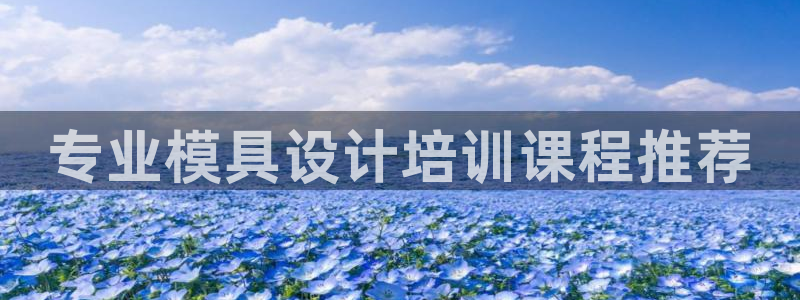 太阳集团所有网址16877