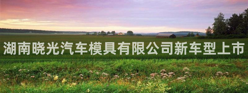 太阳集团娱乐官网8722：湖南晓光汽车模具有限公司新车型上市