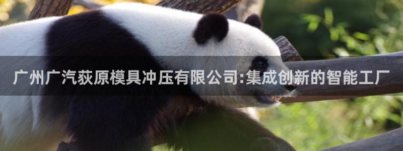 122cc太阳集成游戏官方网站：广州广汽荻原模具冲压有限公司:集成创新的智能工厂