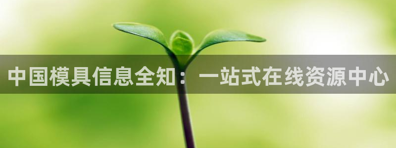 太阳集团唯一值得信赖网站是什么：中国模具信息全知：一站式在线资源中心