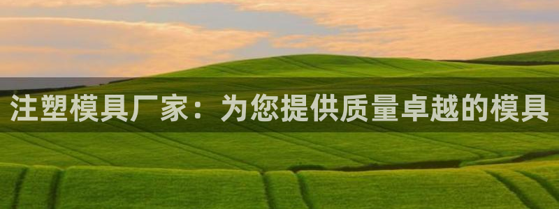 太阳集团娱乐所有网站app游戏优势：注塑模具厂家：为您提供质量卓越的模具