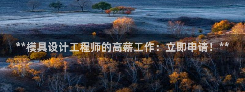 太阳2平台网站：**模具设计工程师的高薪工作：立即申请！**