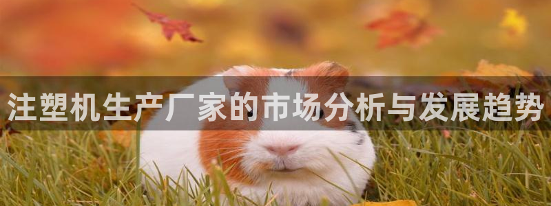 太阳成集团tyc151：注塑机生产厂家的市场分析与发展趋势