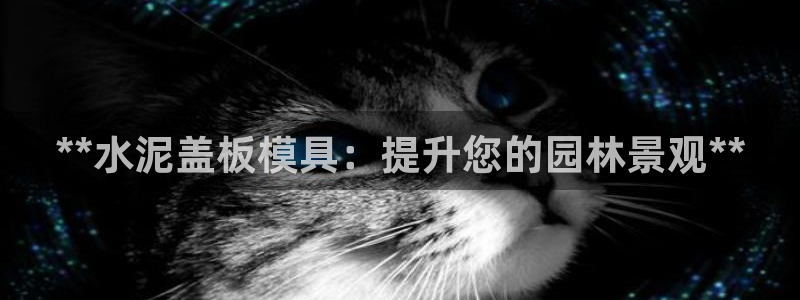 15vip太阳集团官网：**水泥盖板模具：提升您的园林景观**