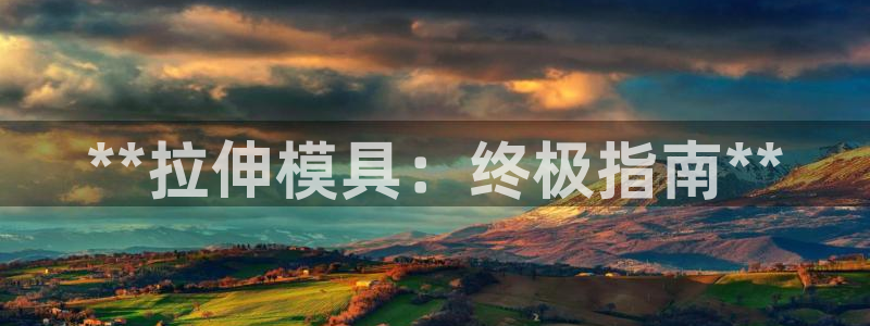 太阳gg平台地址：**拉伸模具：终极指南**