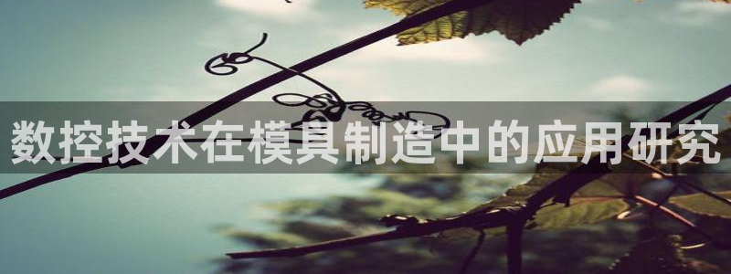 太阳诚集团有限公司是国企吗还是央企：数控技术在模具制造中的应用研究