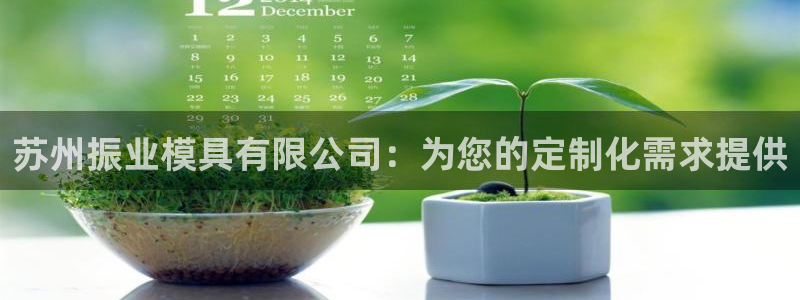 太阳集团娱乐官方网站入口：苏州振业模具有限公司：为您的定制化需求提供