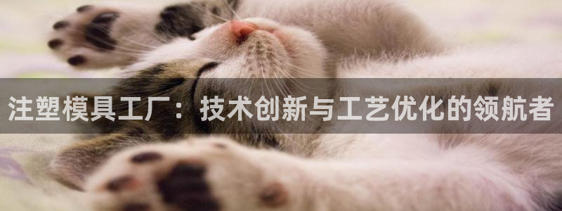 太阳集团是什么公司
