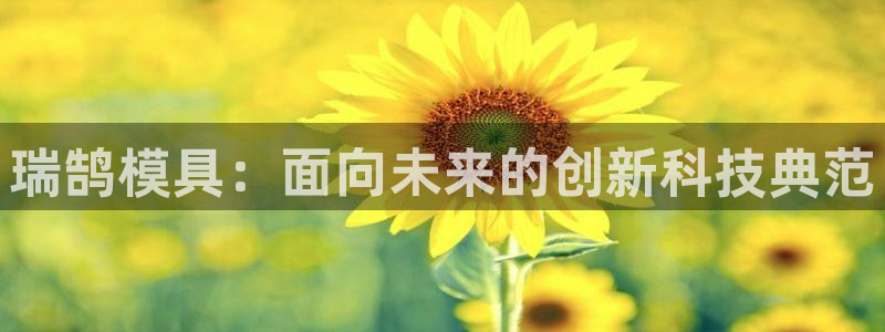 太阳1城集团网址查询：瑞鹄模具：面向未来的创新科技典范