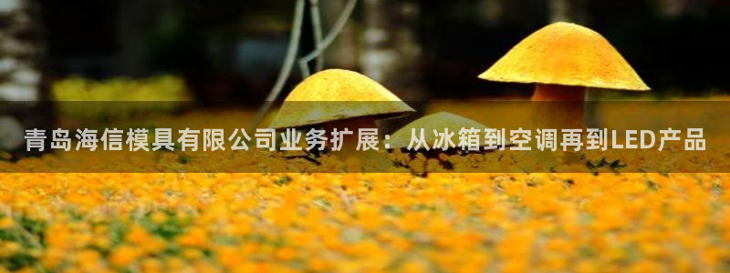 太阳集团电子游戏官网：青岛海信模具有限公司业务扩展：从冰箱到空调再到LED产品