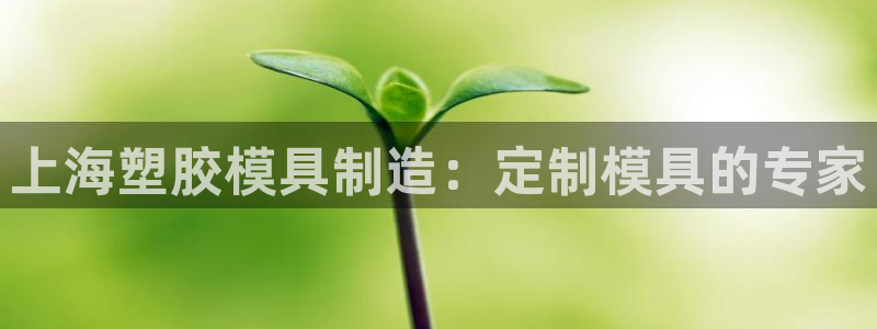 太阳集团tcy8722：上海塑胶模具制造：定制模具的专家