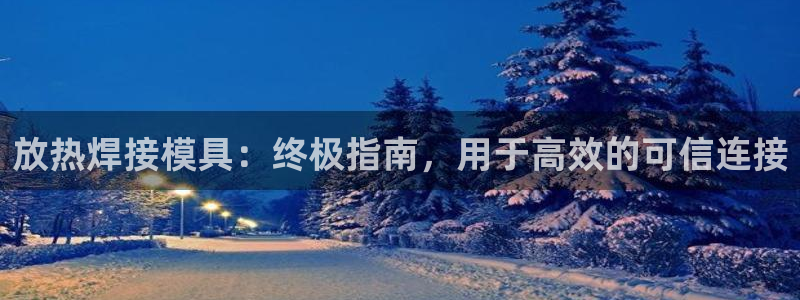 太阳集团董事长是谁呀：放热焊接模具：终极指南，用于高效的可信连接