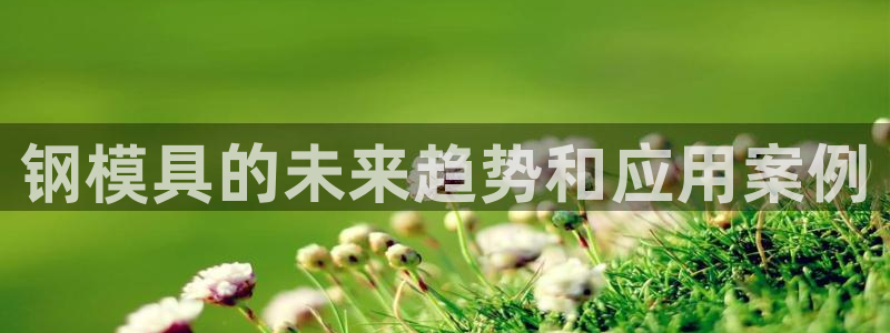 太阳诚集团网站：钢模具的未来趋势和应用案例