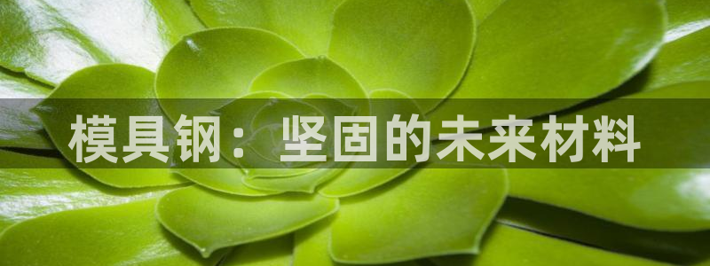 太阳集团网址：模具钢：坚固的未来材料