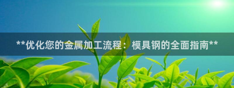 suncitygroup太阳集团--官方网站：**优化您的金属加工流程：模具钢的全面指南**