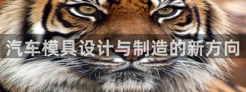 太阳集团网站5017：汽车模具设计与制造的新方向
