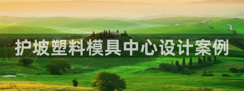太阳gg平台登陆：护坡塑料模具中心设计案例