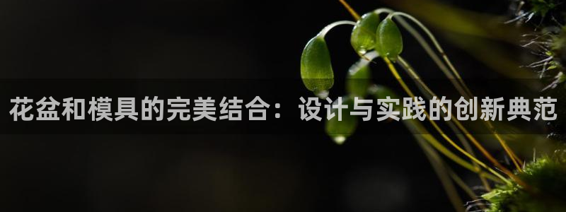 冷たい太阳：花盆和模具的完美结合：设计与实践的创新典范