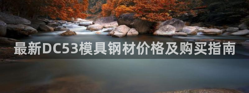 太阳sun网站：最新DC53模具钢材价格及购买指南