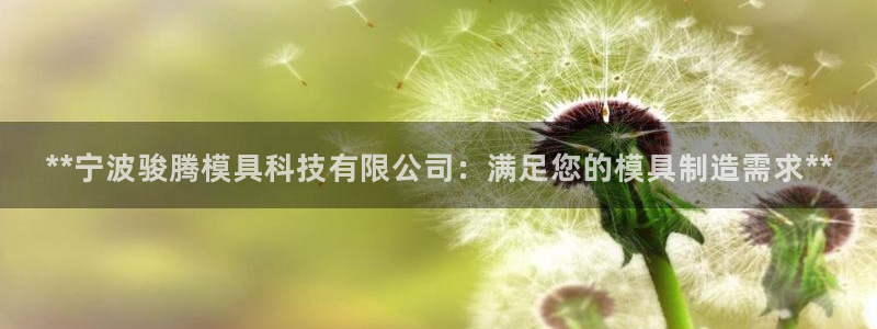 太阳集团城网址：**宁波骏腾模具科技有限公司：满足您的模具制造需求**