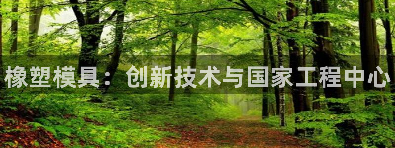 太阳诚集团：橡塑模具：创新技术与国家工程中心