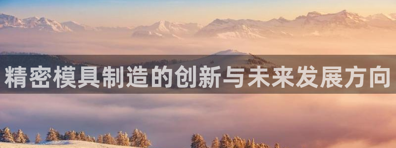 太阳电玩城下载：精密模具制造的创新与未来发展方向