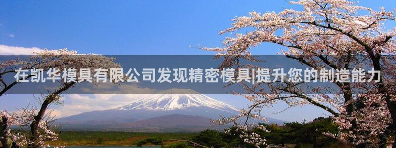 太阳app下载安装：在凯华模具有限公司发现精密模具|提升您的制造能力