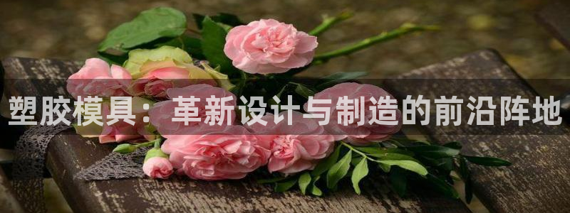 太阳1城集团网址是多少：塑胶模具：革新设计与制造的前沿阵地